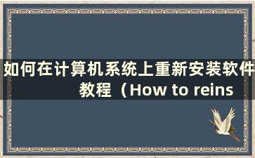 如何在计算机系统上重新安装软件教程（How to reinstall software on a computer system）